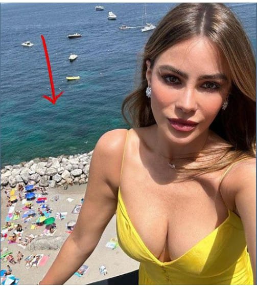 Sofia Vergara and Joe Manganiello Make Heartbreaking Announcement